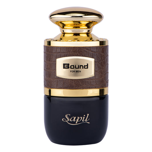 Sapil Solid for Men 100ml - Eau de Toilette