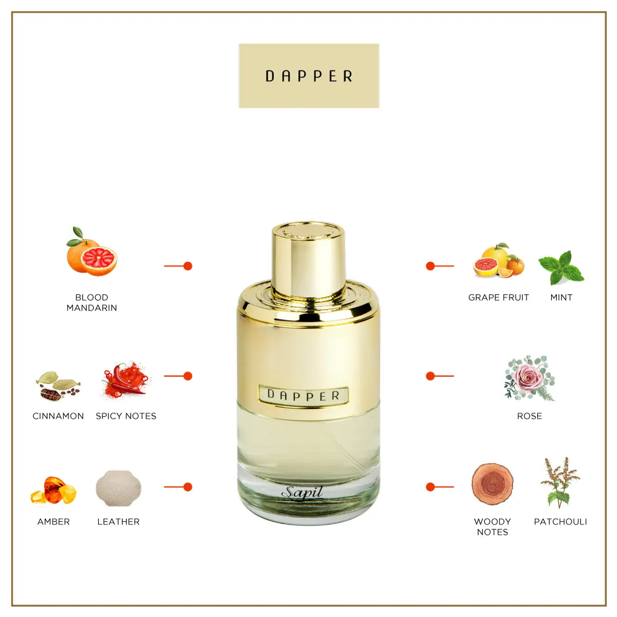 Sapil Dapper for Men 100ml - Eau de Parfum