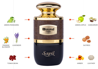 Sapil Solid for Men 100ml - Eau de Toilette