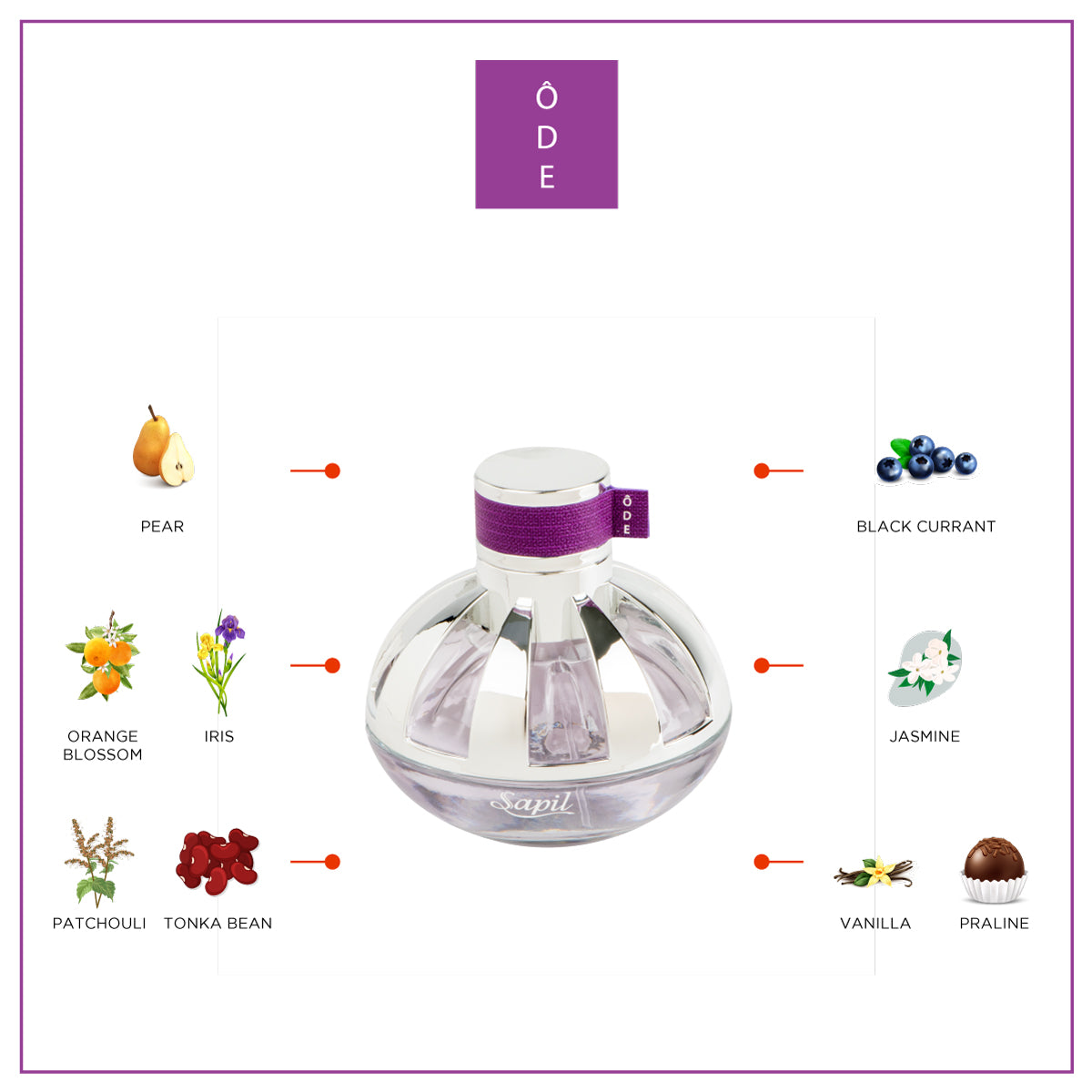 Sapil Ode for Women 100ml - Eau de Parfum
