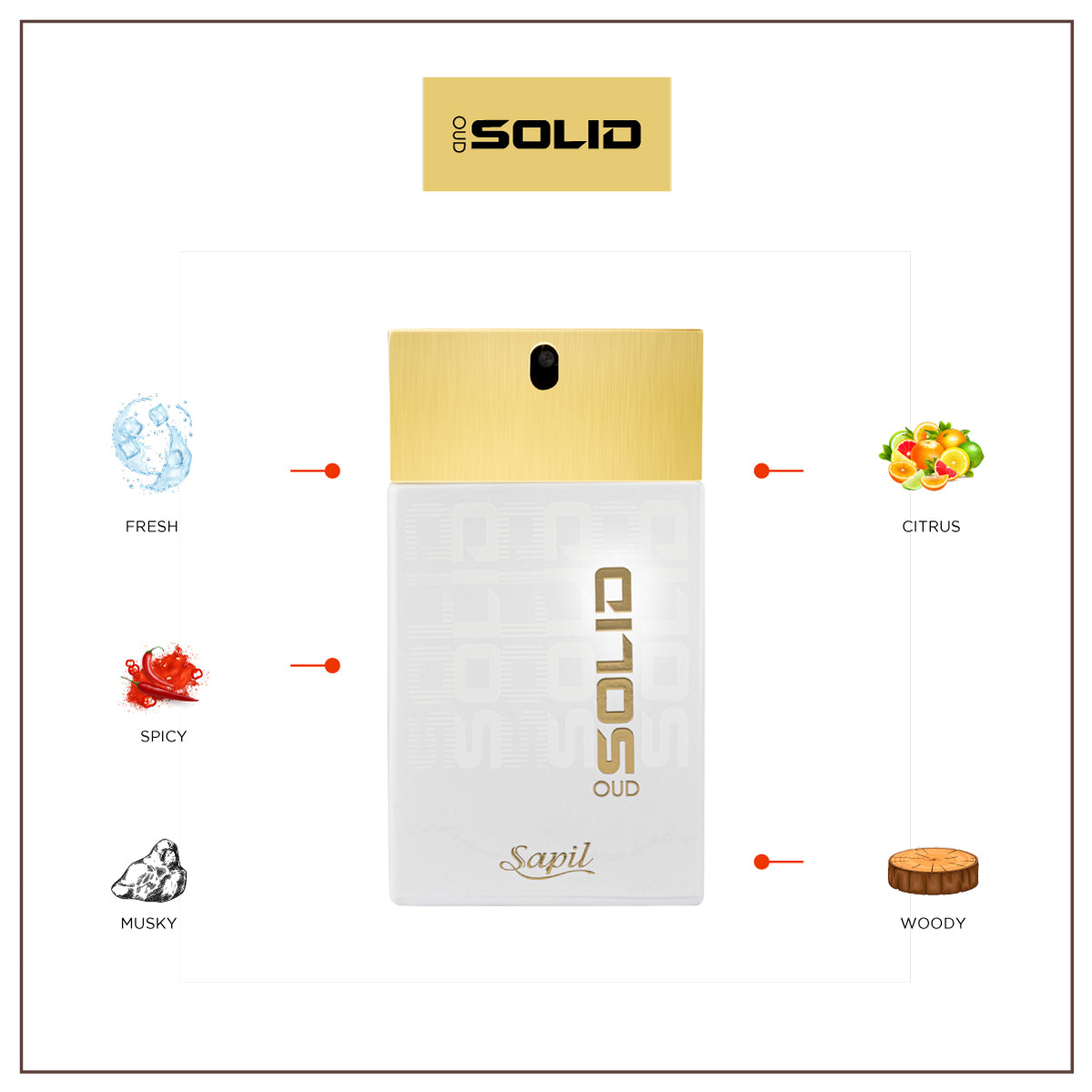 Sapil Solid Oud 100ml - Eau de Parfum